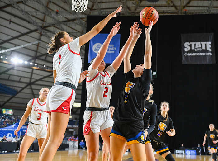 camas tahoma 4A qf 20249